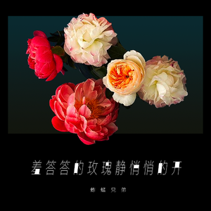 美国一级特黄AAA片做受
