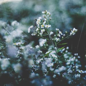 美国一级特黄AAA片做受
